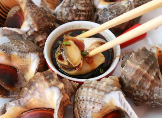 海螺怎么蒸好吃又簡(jiǎn)單?大海螺是海鮮嗎