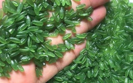 綠竹米是染色的還是天然的 綠竹米可以包粽子嗎