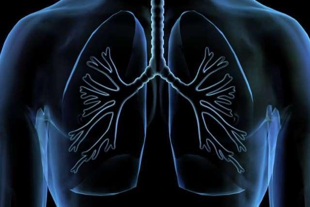 愛肺即是愛生命 ——這個世界肺癌日,讓我們一起來關注肺部健康吧! 愛肺即是愛生命 ——這個世界肺癌日,讓我們一起來關注肺部健康吧!