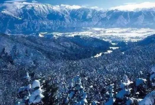 世界上最慢的火車雪龜號5.jpg