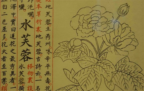世界最大最早的百科全書 《永樂大典》上起先秦下達明初