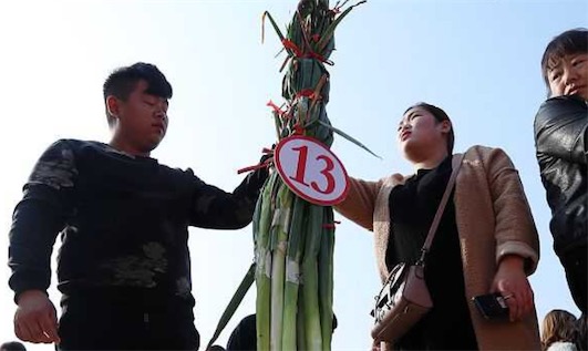 世界上最高的大蔥 濟南現2.51米大蔥王