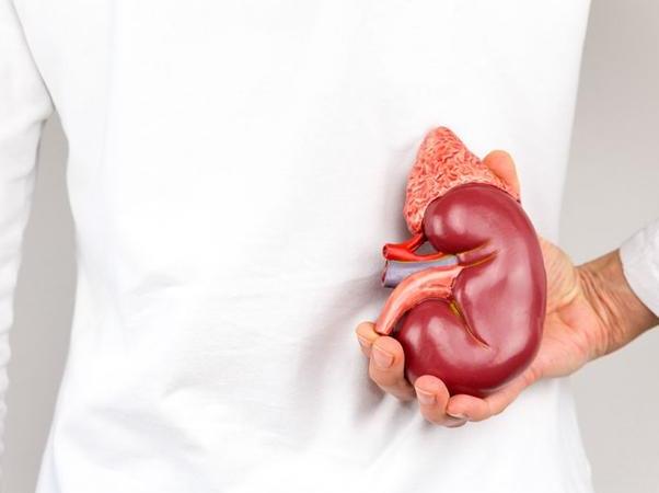 女性補(bǔ)腎吃什么藥好?女性腎虛吃什么水果好