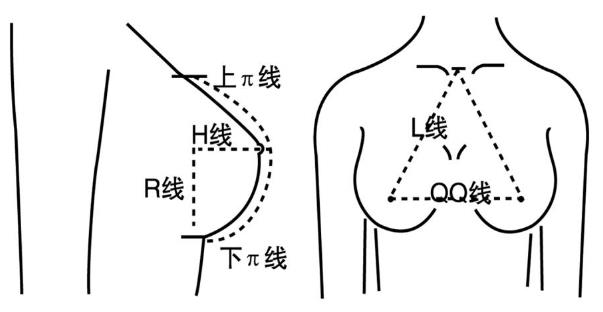 初三女生胸部大不大?初三女孩的標準胸圍應該多大?