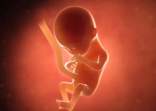 生男生女順口溜農歷是陰歷嗎?生男生女的概率是50%嗎?