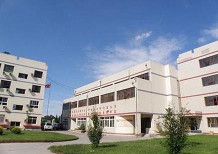 十大北京國際學(xué)校排行榜,北京力邁外國語學(xué)校學(xué)費(fèi)15萬一年!