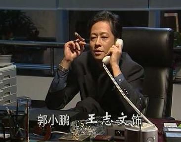 王志文主演的十部經典電視劇排名,《無悔追蹤》最好看