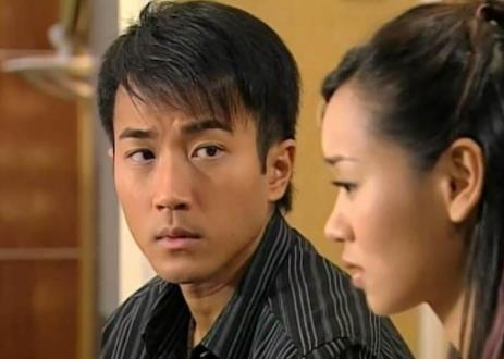 劉愷威演過的十大經典電視劇排名,《皆大歡喜》最受歡迎