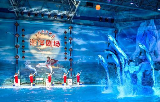 寧波十大親子游景點(diǎn)排名,寧波市海洋世界是AAAA級(jí)旅游景區(qū)
