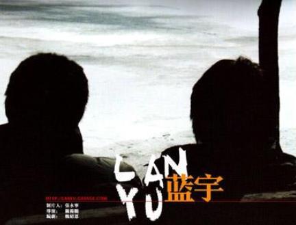 國內十部經典同性戀電影,《東宮西宮》《自梳》都是經典作品