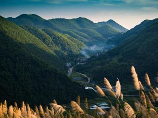 萍鄉(xiāng)十大景點排行榜,秋收起義廣場是全國紅色旅游經(jīng)典景區(qū)