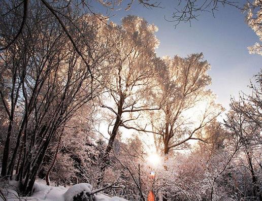 牡丹江十大景點排名,中國雪鄉讓人沉醉,羊草山是戶外愛好者最愛