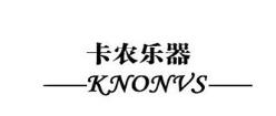 十大電子小提琴品牌,音藝小提琴、索雅特小提琴深受喜愛