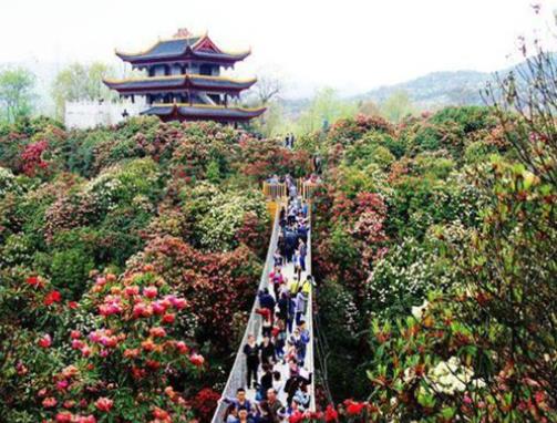 貴陽十大最受歡迎景點排行榜,黃果樹大瀑布、梵凈山恢弘壯闊