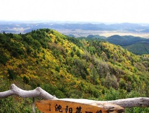 沈陽十大人少好玩的景點,沈陽國家森林公園、沈陽故宮值得一去