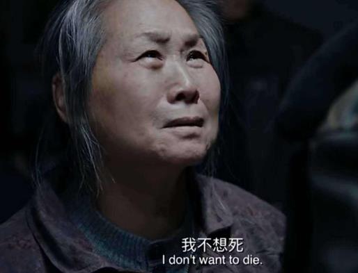 6部令人驚喜的國產電影排名,戰狼系列很好看,流浪地球非常棒