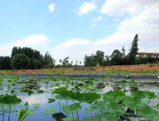 德陽十大公園廣場排行榜,三星堆大草原適合散步、東湖山公園環(huán)境很好