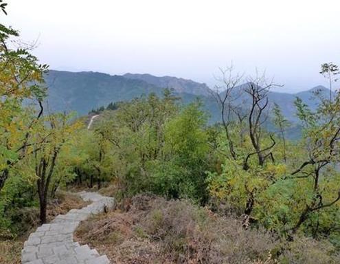 濱州十大景區(qū)排行榜,魏集古村落氣質(zhì)古樸,十里荷塘是花的海洋