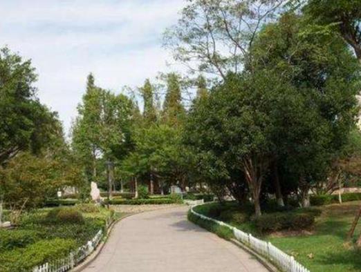 德陽十大公園廣場排行榜,三星堆大草原適合散步、東湖山公園環(huán)境很好