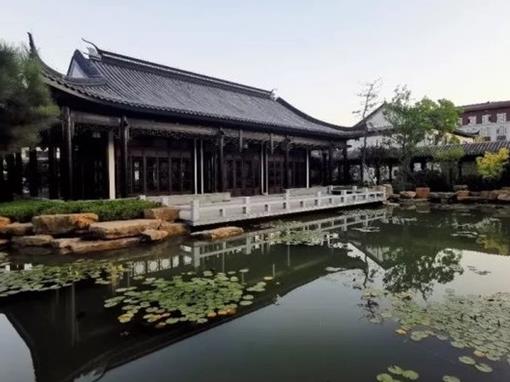 濱州十大景區(qū)排行榜,魏集古村落氣質(zhì)古樸,十里荷塘是花的海洋