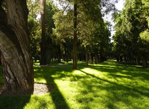 德陽十大公園廣場排行榜,三星堆大草原適合散步、東湖山公園環(huán)境很好