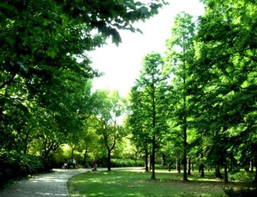 德陽十大公園廣場排行榜,三星堆大草原適合散步、東湖山公園環(huán)境很好