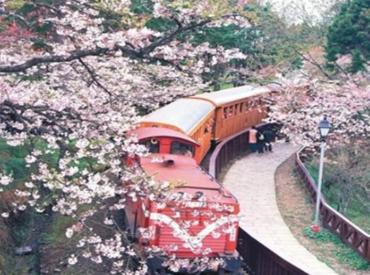 臺(tái)灣十大旅游景點(diǎn)排名,日月潭、臺(tái)北故宮博物院景觀獨(dú)一無二