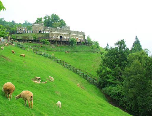 臺(tái)灣十大旅游景點(diǎn)排名,日月潭、臺(tái)北故宮博物院景觀獨(dú)一無二