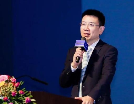 湖北十大富豪企業(yè)家排行榜,雷軍是小米創(chuàng)始人,陳東升投身抗疫一線