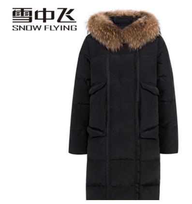 2021中國羽絨服十大品牌排行榜,波司登羽絨服、艾萊依羽絨服很保暖