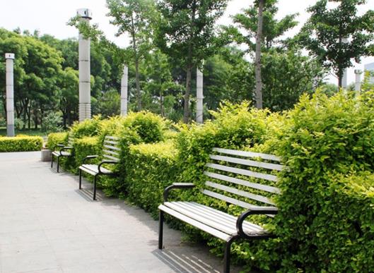 蘭州十大公園排行榜,白塔山公園、銀灘濕地公園環(huán)境優(yōu)雅