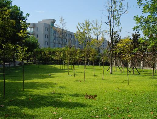 蘭州十大公園排行榜,白塔山公園、銀灘濕地公園環(huán)境優(yōu)雅