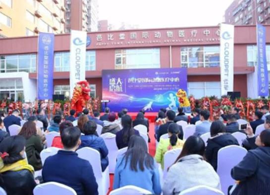 2021年中國十大寵物醫(yī)院排名,瑞鵬寵物醫(yī)院、瑞派寵物醫(yī)院很專業(yè)