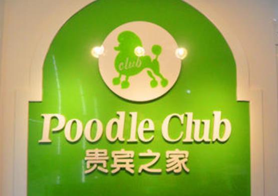 2021年十大寵物品牌連鎖店,大嘴狗很專業、愛肯拿深受歡迎