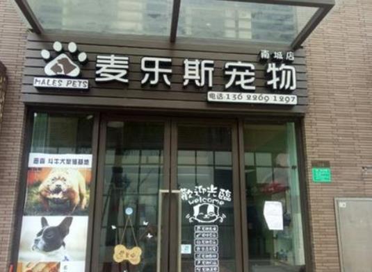2021年十大寵物品牌連鎖店,大嘴狗很專業、愛肯拿深受歡迎