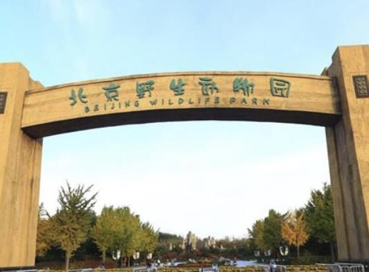 中國最受歡迎的十大動物園,北京動物園、廣州長隆野生動物世界很有名