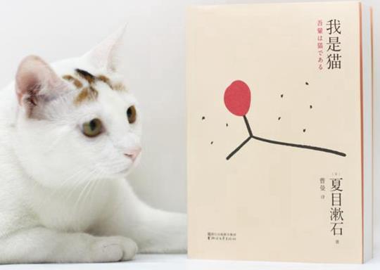 日本十大文學(xué)名著排行榜,《源氏物語》《雪國(guó)》都非常受歡迎
