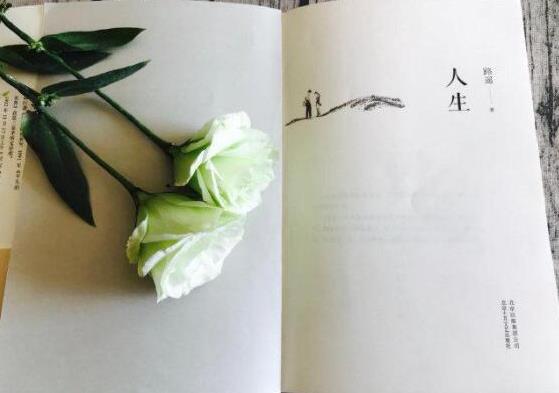 能讓人受益一生的10本書,《殺死一只知更鳥》《墨菲定律》讓人受益匪淺