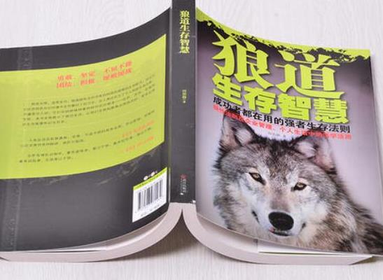 能讓人受益一生的10本書,《殺死一只知更鳥》《墨菲定律》讓人受益匪淺