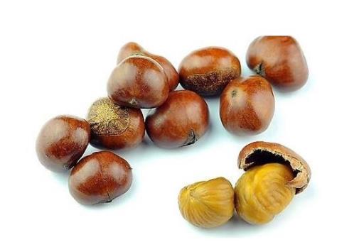 十大減肥干果排行榜,花生有助于增強飽腹感、核桃可使膽固醇降低