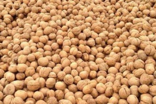 十大減肥干果排行榜,花生有助于增強飽腹感、核桃可使膽固醇降低