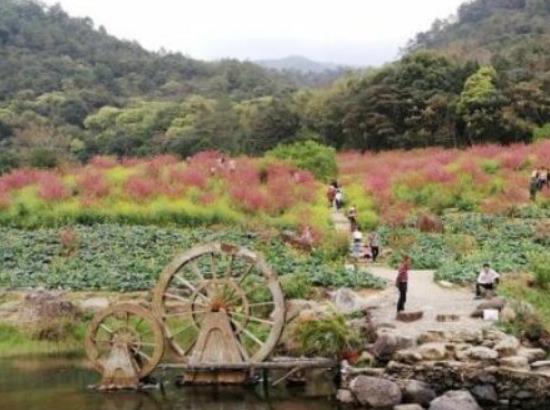 廣州十大自駕游景點,廣東石門國家森林公園、溪頭旅游村景區自由度高