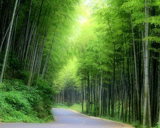 無錫十大著名景點排行榜,太湖吸引眾多游客、黿頭渚山水風光美