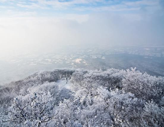 南京十大賞雪勝地排行榜,夫子廟古色古香、紫金山雪景別有一番風味