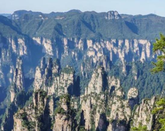中國十大世界自然遺產,九寨溝景區、神農架旅游區都是原生態旅游區