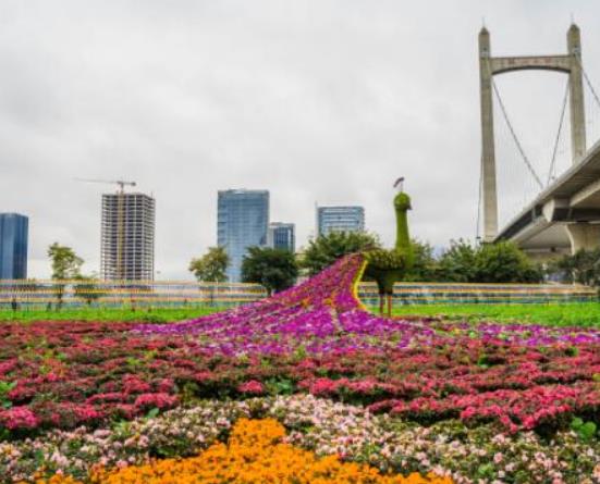 十大福州網紅公園排名,西湖公園景色秀麗、左海公園娛樂設施多