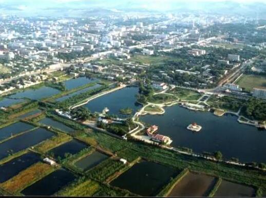 中國十大苗木之鄉(xiāng)排名,湖南省瀏陽市、北京市豐臺區(qū)非常有名