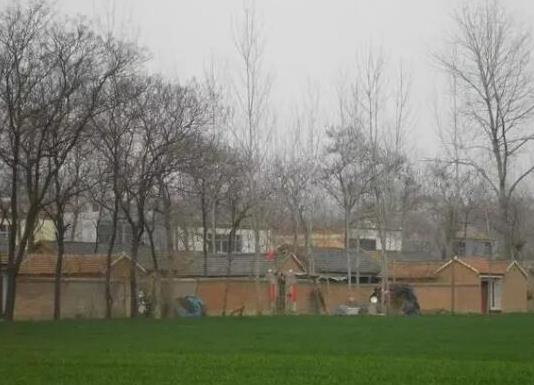 中國十大苗木之鄉(xiāng)排名,湖南省瀏陽市、北京市豐臺區(qū)非常有名