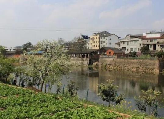 中國十大苗木之鄉(xiāng)排名,湖南省瀏陽市、北京市豐臺區(qū)非常有名