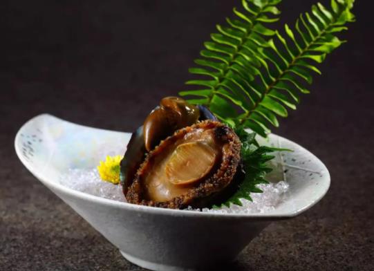 世界上最貴的鮑魚(yú)排名,日本網(wǎng)鮑品質(zhì)較好、吉品鮑體型小巧